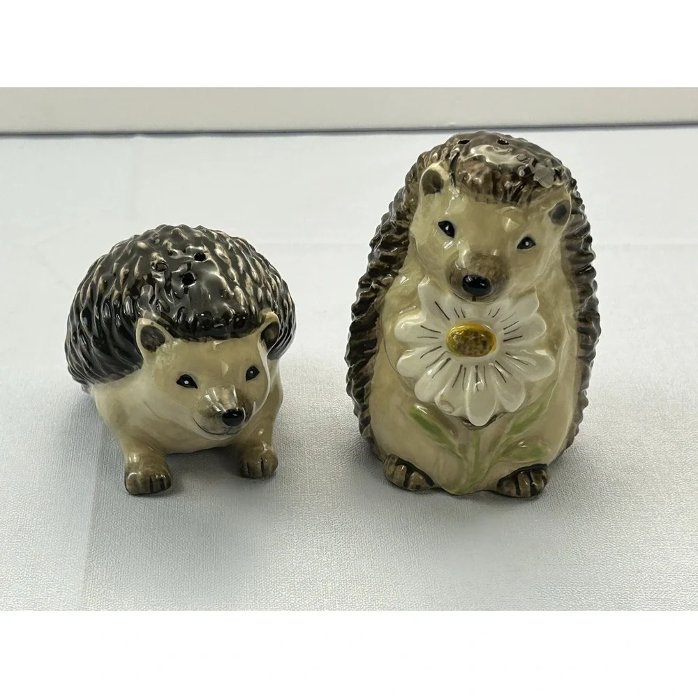 Ceramic Hedgehog Salt & Pepper Shaker Set Woodland Daisy Cottagecore Decor